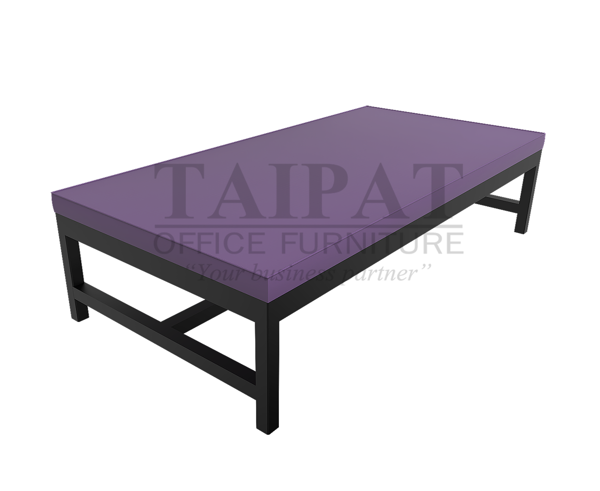 เตียงเหล็กฝึกปฏิบัติการ ชนิดเตี้ย (เตียงกายภาพ) BT-0110