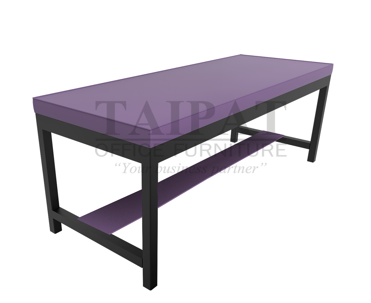 เตียงเหล็กฝึกปฏิบัติการ ชนิดสูง  (เตียงกายภาพ) BT-0111